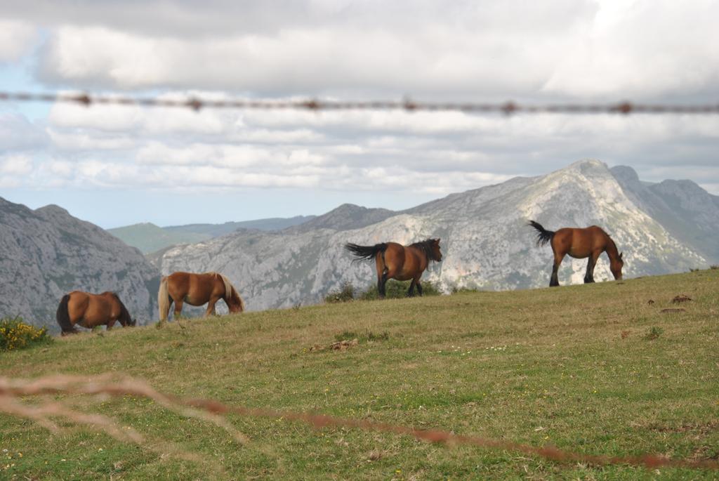 El Molino De Cicera Casa de hóspedes Quarto foto
