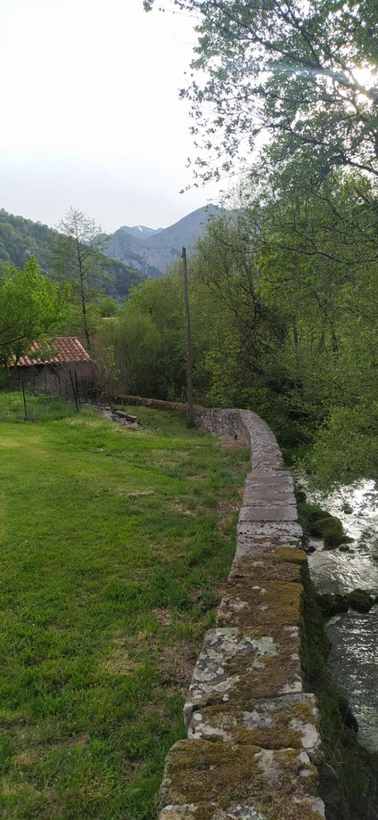 El Molino De Cicera Casa de hóspedes Exterior foto